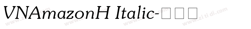 VNAmazonH Italic字体转换